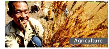 agriculture